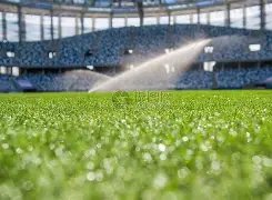 维持不变,暗示经济及,消费趋势何,沙巴体育,沙巴体育平台,体育博彩,体育投注,沙巴赛事投注