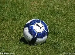 福彩,期洞庭湖预,测分析,沙巴体育,沙巴体育平台,体育博彩,体育投注,沙巴赛事投注