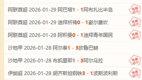 德乙焦点战：沙尔克主场强势对决，德累斯顿能否逆袭？