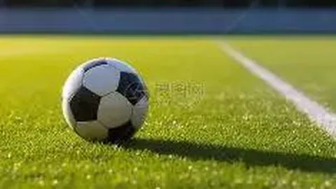 “2025年歐洲盃德國賽事：人民體育場主場地”