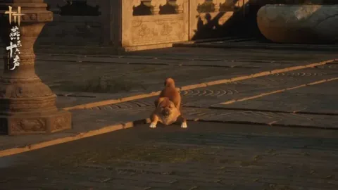 莫德里奇39岁，皇马续约一季意向明确